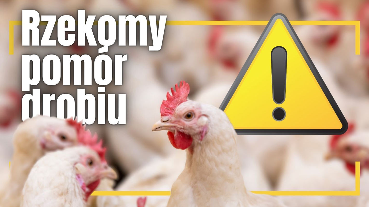 Informacja dla hodowców drobiu